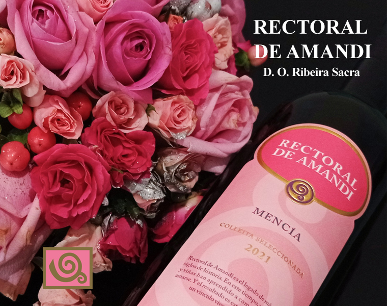 Rectoral de Amandi jove Vi del mes de Març